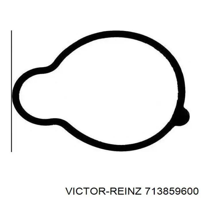 Купить 713859600 Victor Reinz Прокладка впускного коллектора