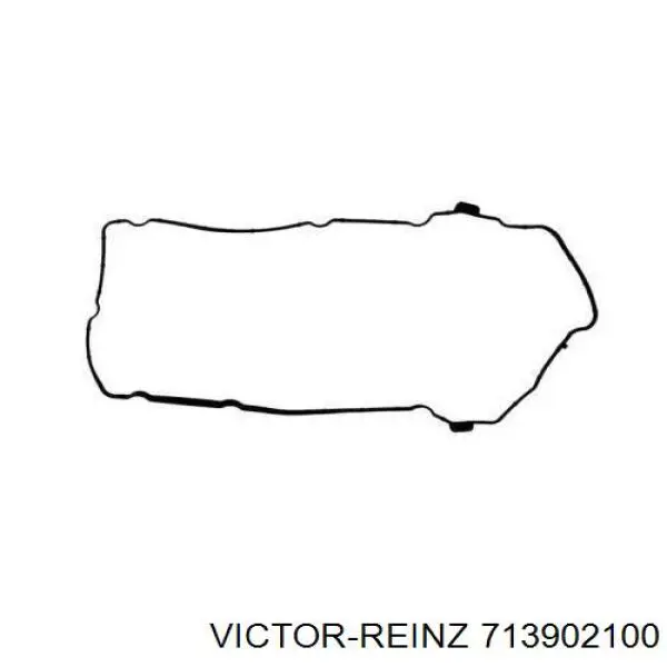 71-39021-00 Victor Reinz vedante de tampa de válvulas de motor