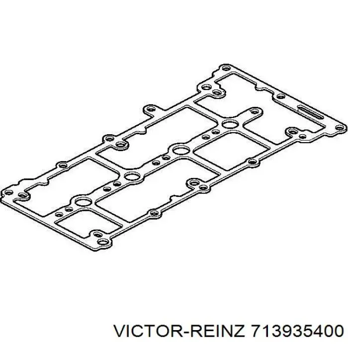 Прокладка клапанной крышки 713935400 Victor Reinz