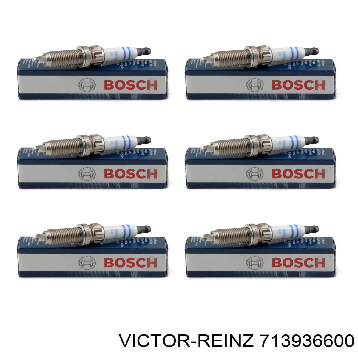 713936600 Victor Reinz