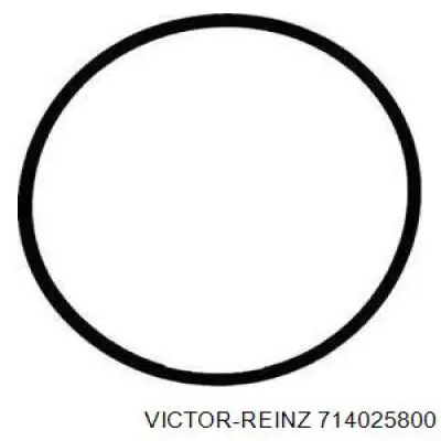 Прокладка всасывающего коллектора Victor Reinz 714025800 цена, от 3.33 USD