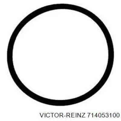 Прокладка всасывающего коллектора Victor Reinz 714053100 цена, от 3.39 USD