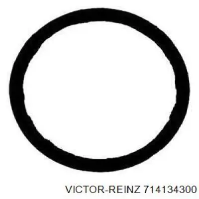 714134300 Victor Reinz прокладка приемной трубы глушителя
