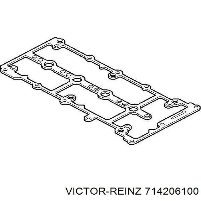 Прокладка клапанной крышки 714206100 Victor Reinz