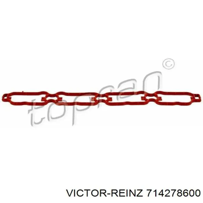 71-42786-00 Victor Reinz vedante de tubo coletor de admissão