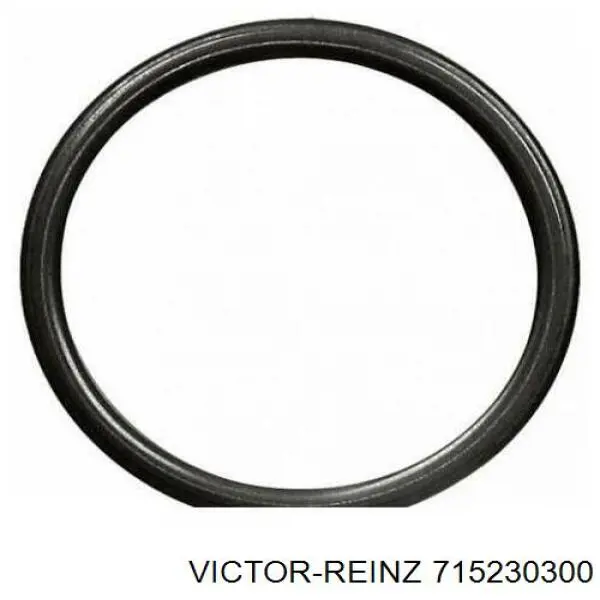 Купить 715230300 Victor Reinz 
