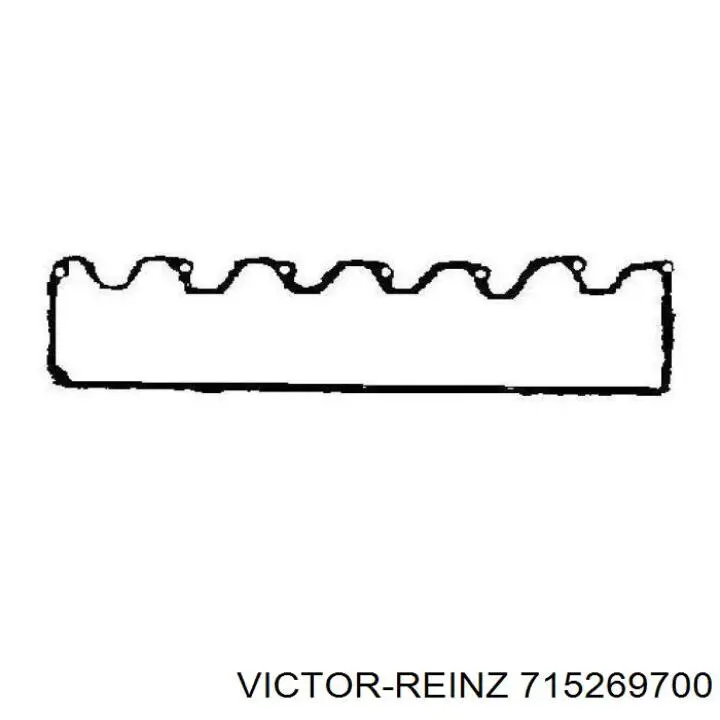 715269700 Victor Reinz