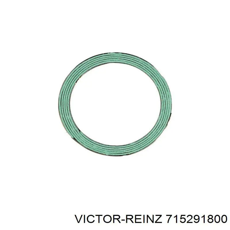 Прокладка всасывающего коллектора Victor Reinz 715291800 цена, от 4.24 USD