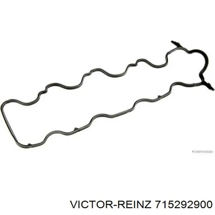 715292900 Victor Reinz