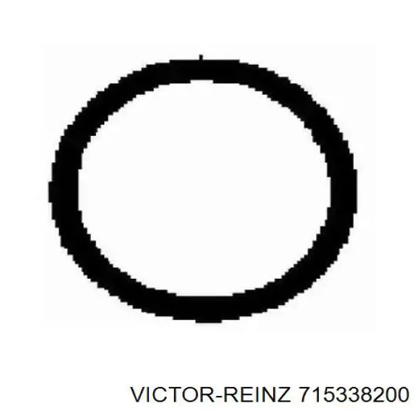 71-53382-00 Victor Reinz прокладка впускного коллектора