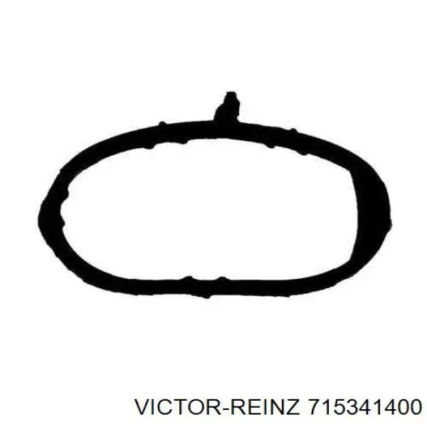 715341400 Victor Reinz vedante de tubo coletor de admissão