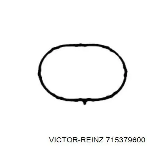 715379600 Victor Reinz  Прокладка впускного коллектора