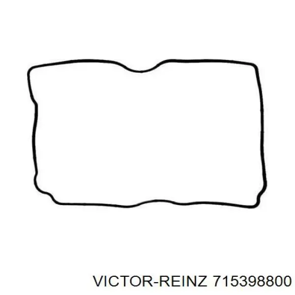 715398800 Victor Reinz Прокладка крышки клапана