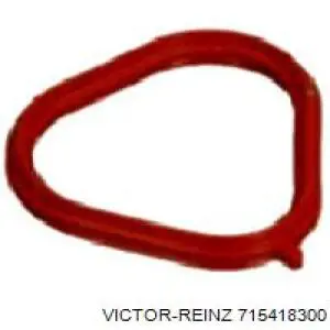 71-54183-00 Victor Reinz vedante de tubo coletor de admissão