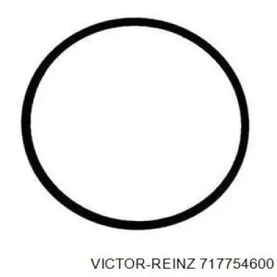 71-77546-00 Victor Reinz прокладка впускного коллектора