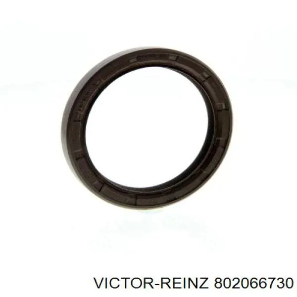802066730 Victor Reinz сальник коленвала двигателя задний