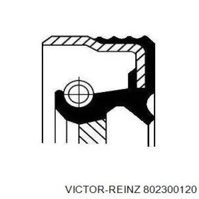 802300120 Victor Reinz Сальник коленвала двигателя, задний