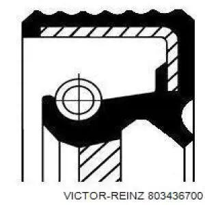 Сальник двигателя распредвала Victor Reinz 803436700 цена, от 6.33 USD