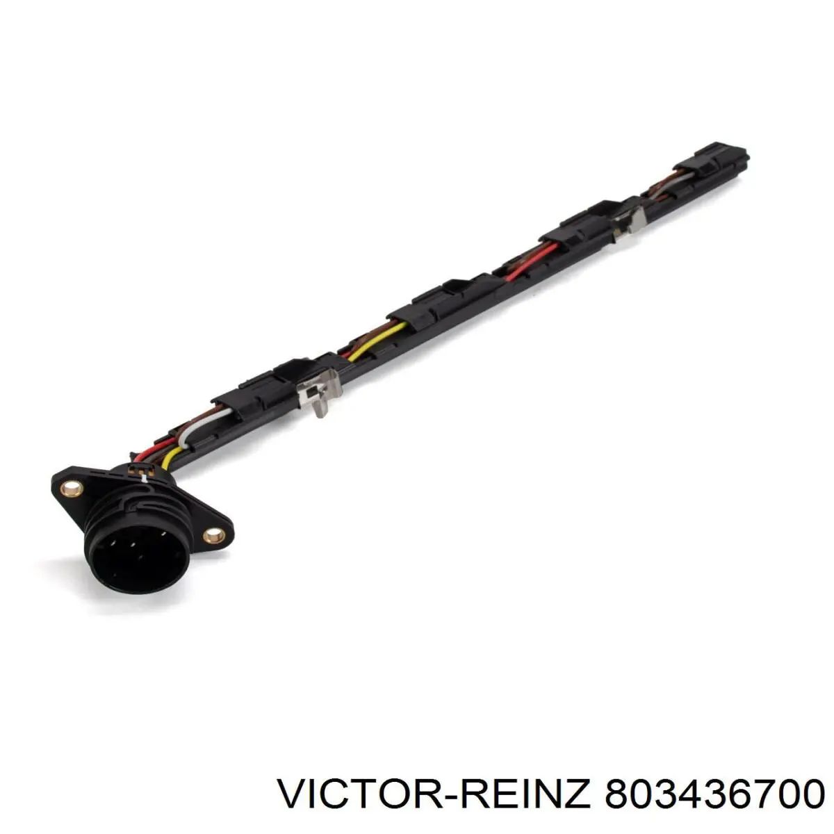 Купить 803436700 Victor Reinz Сальник распредвала