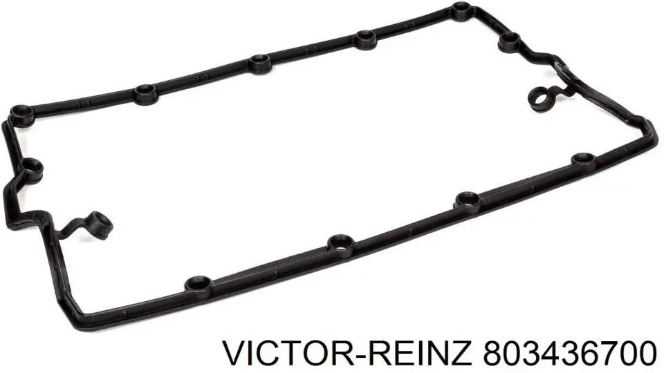 Сальник двигателя распредвала Victor Reinz 803436700 цена, от 6.33 USD