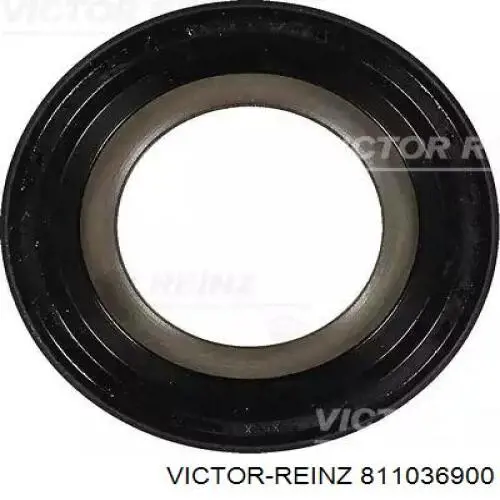 811036900 Victor Reinz vedação dianteira de cambota de motor