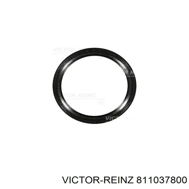 Купить 811037800 Victor Reinz Передний сальник коленвала
