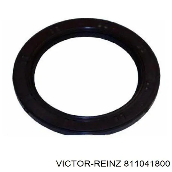 811041800 Victor Reinz