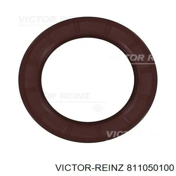  811050100 Victor Reinz