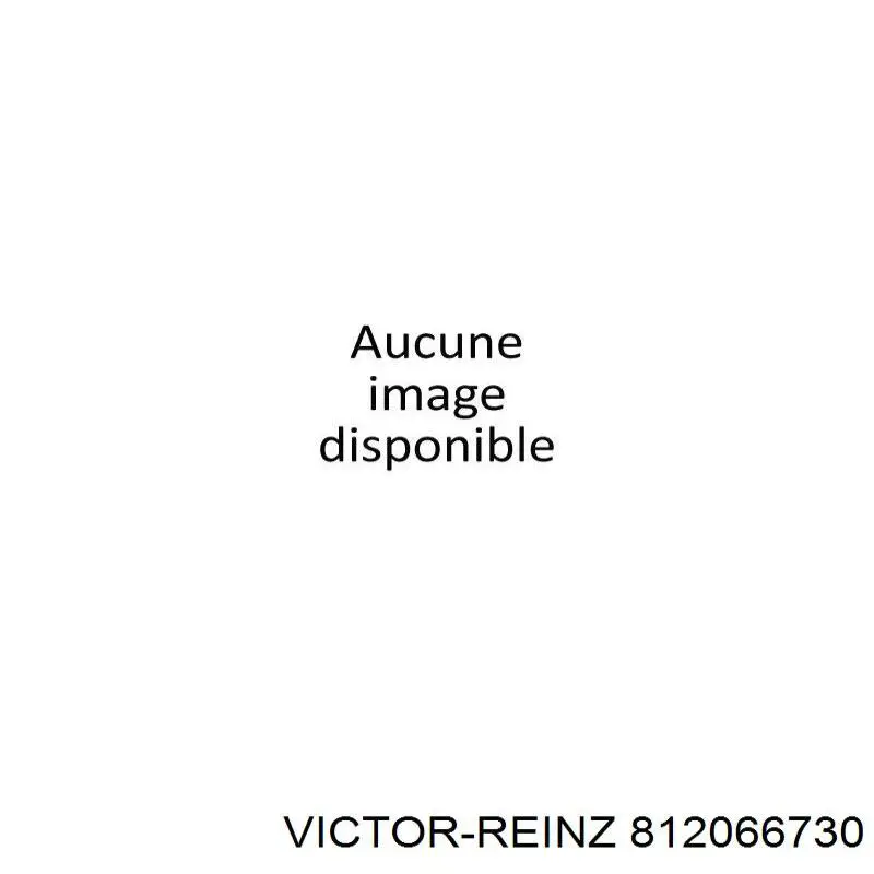 Купить 812066730 Victor Reinz Сальник коленвала задний