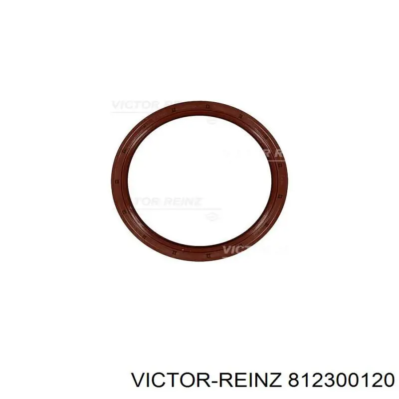 812300120 Victor Reinz