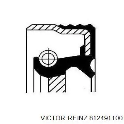 Anillo retén, cigüeñal frontal 812491100 Victor Reinz