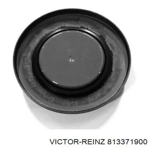 Anillo retén, diferencial eje trasero 813371900 Victor Reinz