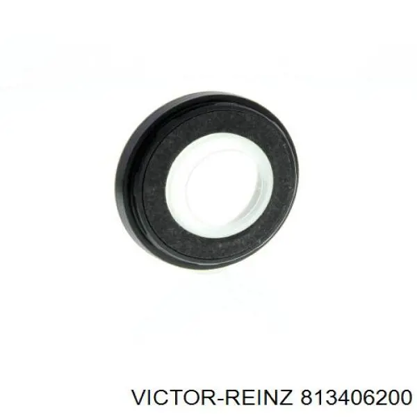 813406200 Victor Reinz
