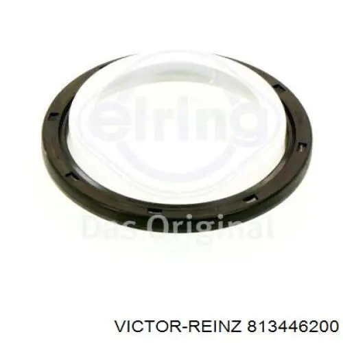813446200 Victor Reinz