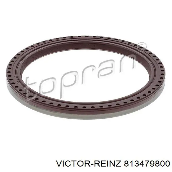 813479800 Victor Reinz