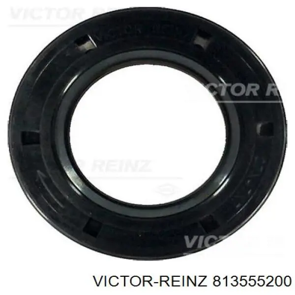 Compre 813555200 Victor Reinz Vedação da árvore distribuidora de motor