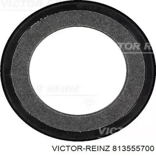 81-35557-00 Victor Reinz vedação dianteira de cambota de motor