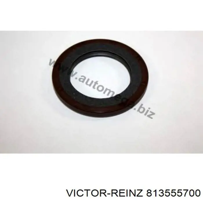 813555700 Victor Reinz