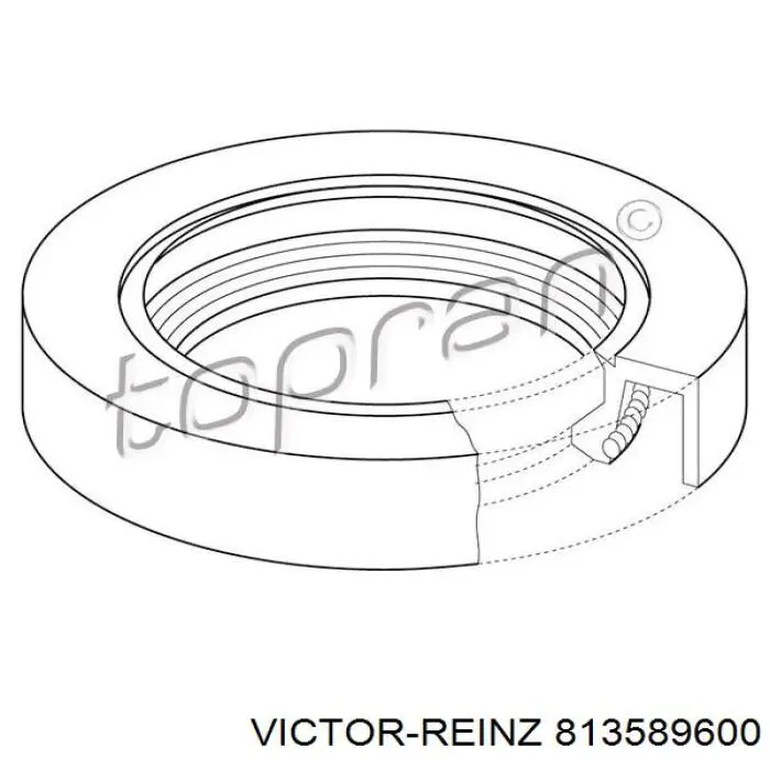 Сальник двигателя распредвала Victor Reinz 813589600 цена, от 11.43 USD