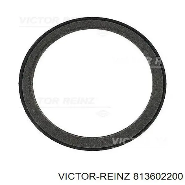 Сальник коленчатого вала Victor Reinz 813602200 цена, от 15.98 USD