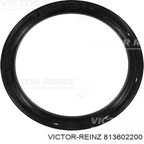 Купить 813602200 Victor Reinz Передний сальник коленвала