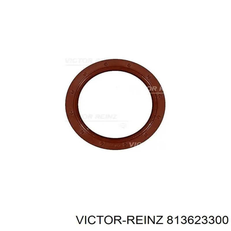 Anillo retén, cigüeñal frontal 813623300 Victor Reinz