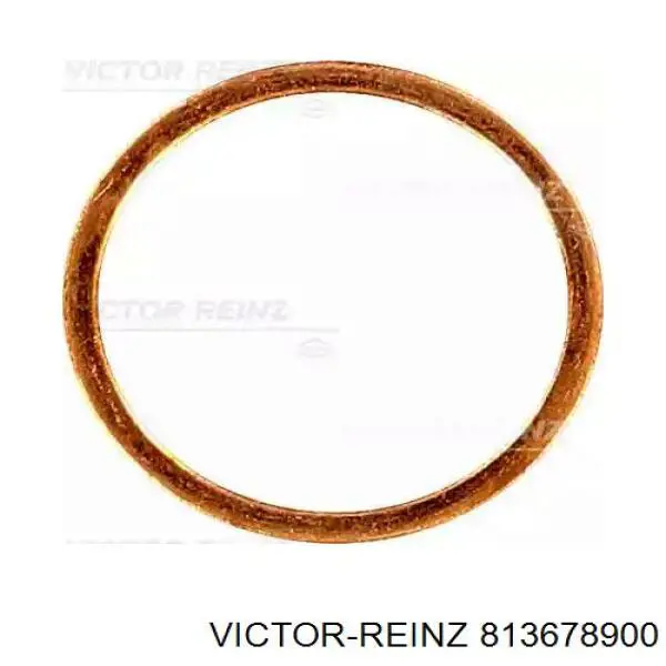 Сальник распредвала 813678900 Victor Reinz