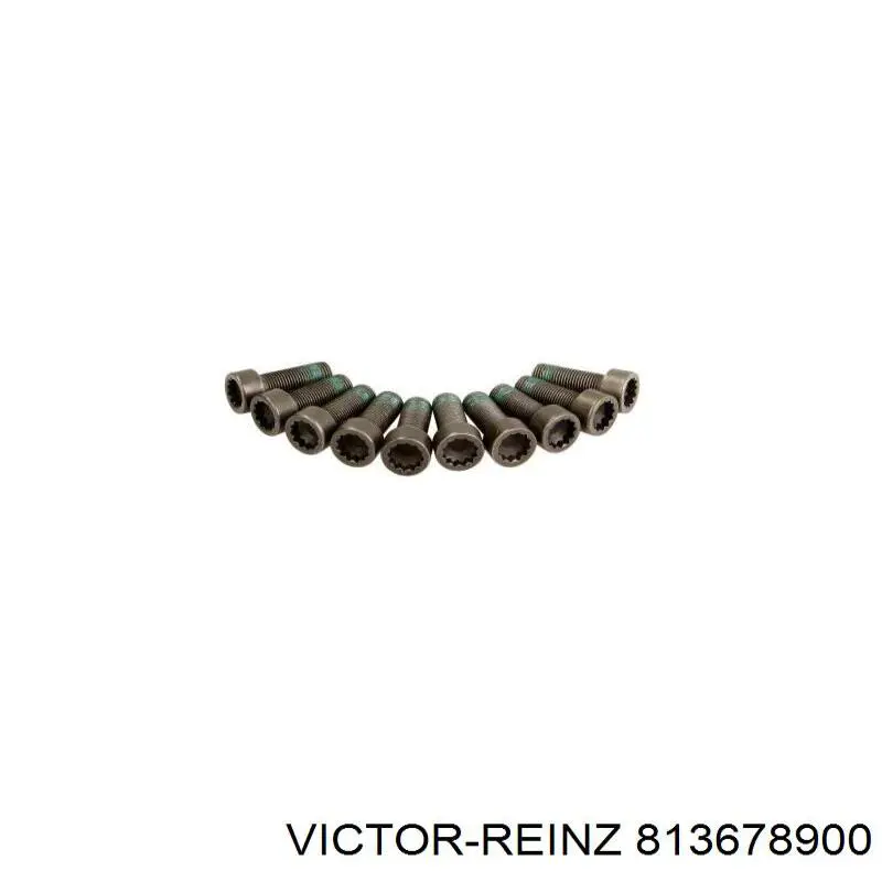 Купить 813678900 Victor Reinz Сальник распредвала