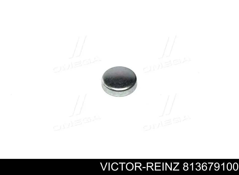 813679100 Victor Reinz vedação dianteira de cambota de motor