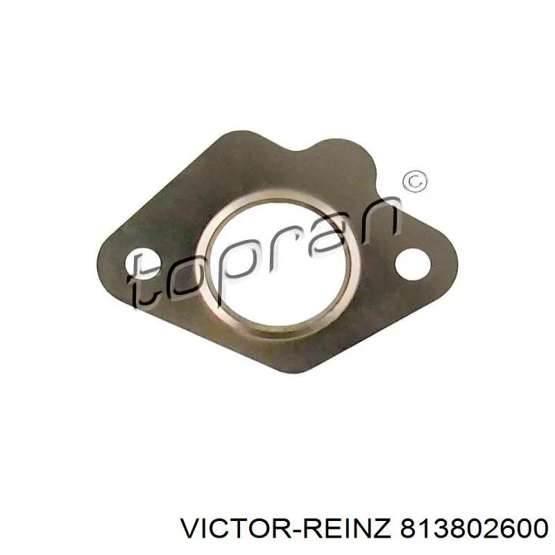 Сальник левой полуоси переднего моста Victor Reinz 813802600
