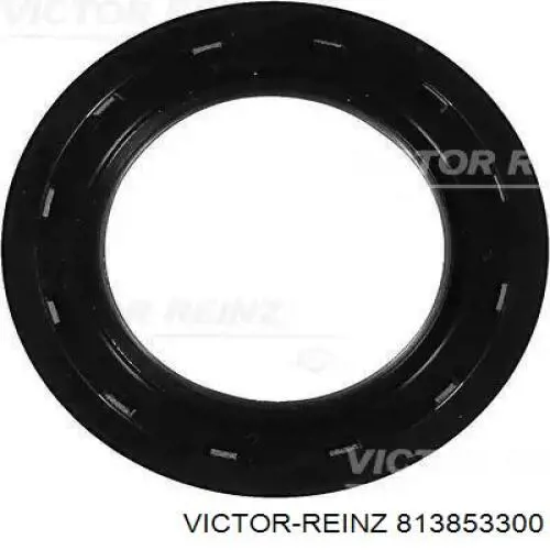813853300 Victor Reinz Сальник коленвала двигателя, передний