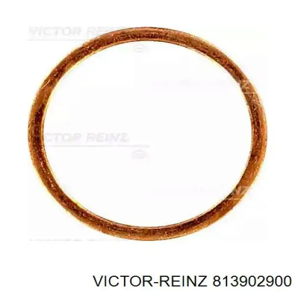 Цепь привода распредвала Victor Reinz 813902900 цена, от 5.70 USD