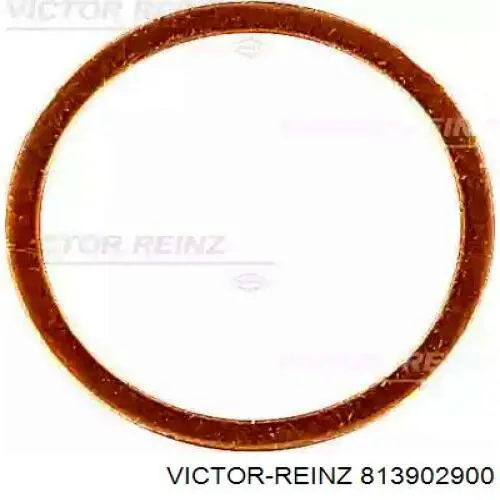 Купить 813902900 Victor Reinz Цепь ГРМ, распредвала