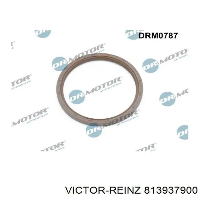 Купить 813937900 Victor Reinz Сальник коленвала задний